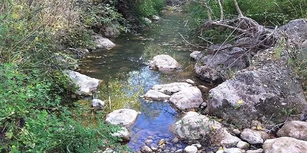 L’Associació Mediambiental La Sínia d’Altafulla dóna a conèixer la Font de Sant Joan