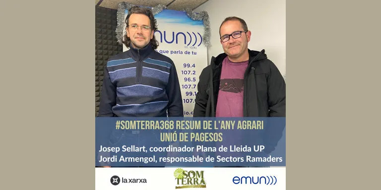 Som Terra 368