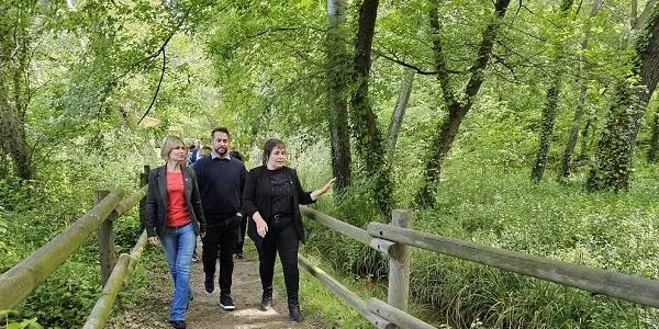 L’albereda de Santes Creus serà un espai més natural