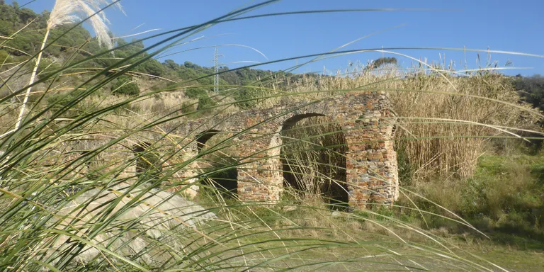 Temps estable amb alguns núvols prims