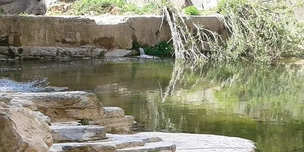 La XI Marxa per les Terres del Gaià, anul·lada per la crisi sanitària del COVID-19