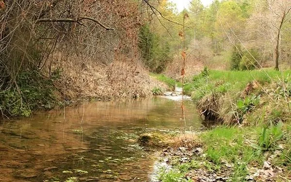 Foto: Associació Terres del Gaià