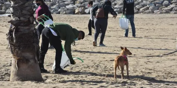 Una cinquantena de persones participen en una acció de neteja de la platja de la Paella a Torredembarra