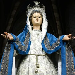 Retransmissió Novena a la Mare de Déu de la Misericòrdia del 8/9/2020 - episode art