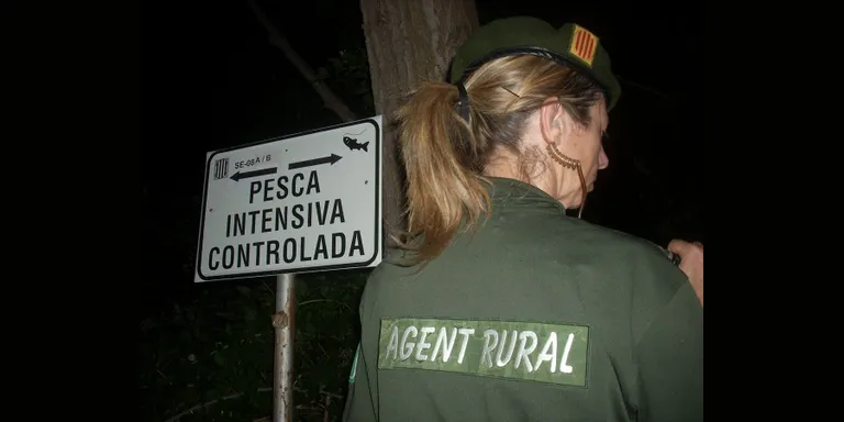 Noves denúncies contra pescadors furtius a l'Alt Urgell