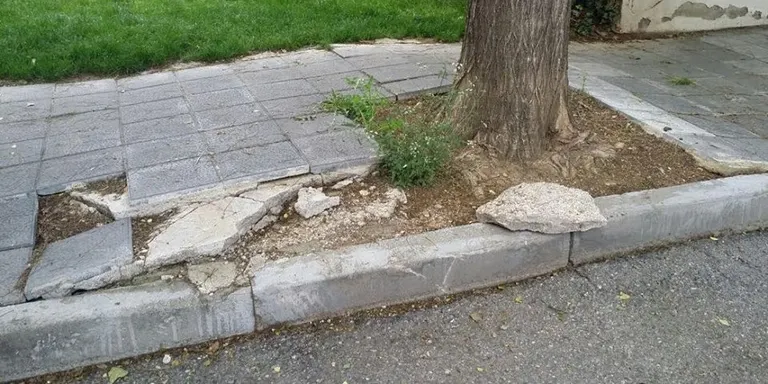 Compromís X La Seu denuncia deteriorament al carrer de l'Orri