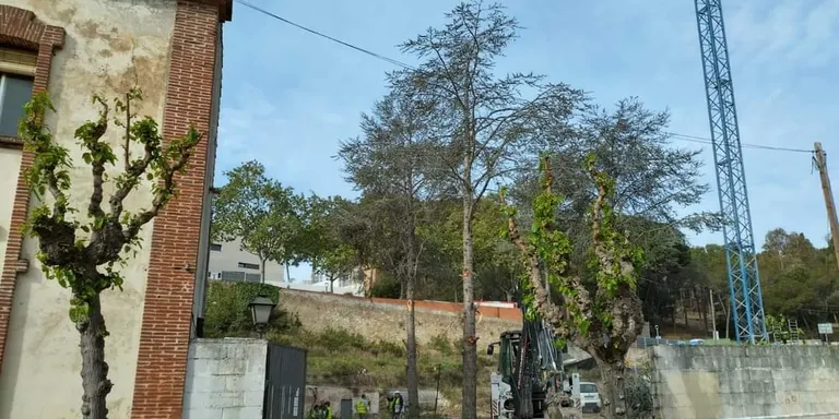 En marxa les obres per la futura biblioteca a Les Clarisses