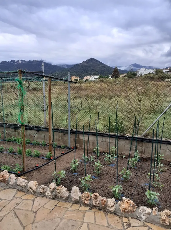 Ambient de tardor i pluja bona part de la jornada