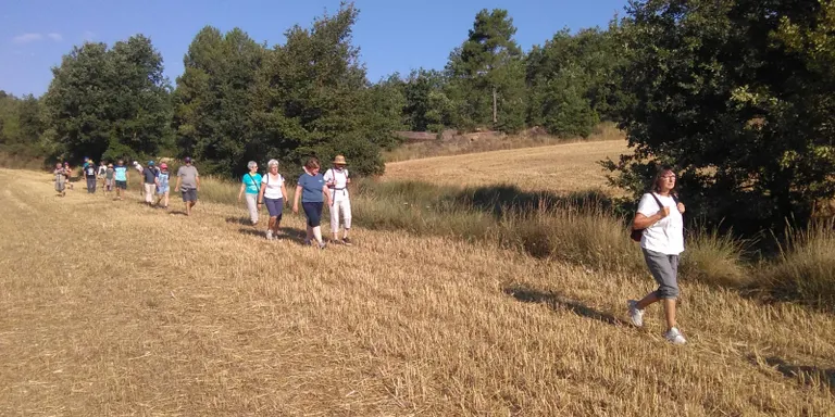 Territori de Masies presenta la nova cooperativa rural amb la jornada "Fem un coop de Territori"