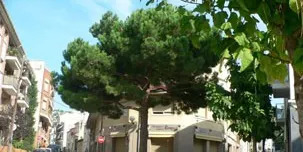 L’Ajuntament d’Arenys de Munt millorarà la recollida d’aigües a la cruïlla Pau Casals i Lluis Companys