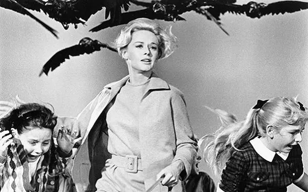 El 7è Llibre d’Altafulla tanca la seva primera temporada amb la pel·lícula ‘Los pájaros’ d’Alfred Hitchcock