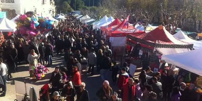Junts per Arenys prepara una excursió a Canyelles