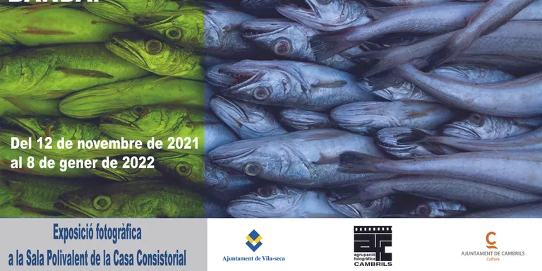 L’Ajuntament de Cambrils cedeix l’exposició de fotografies ‘Amolla-ho a banda’ al de Vila-seca
