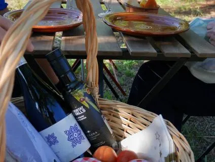La vuitena edició del Benvinguts a Pagès arriba a l’Alt Camp 