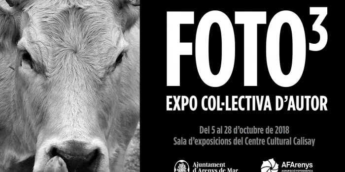 L’AFA inaugura avui l’exposició FOTO-3