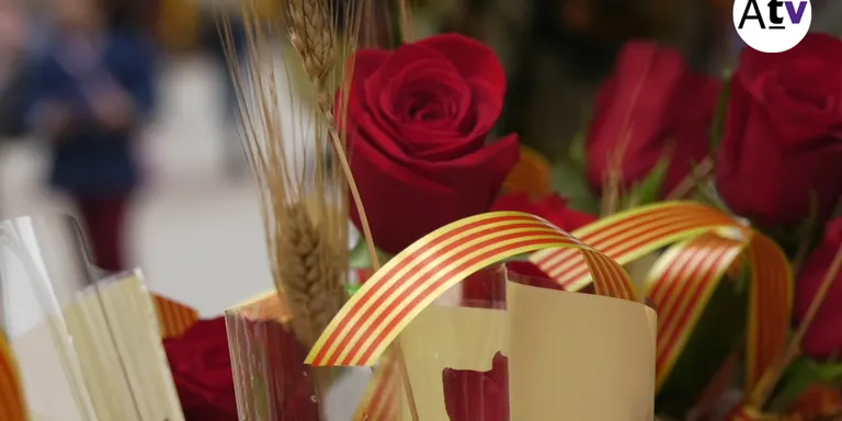 NOU REPORTATGE: La pluja no va aturar la Diada de Sant Jordi a Arenys de Munt