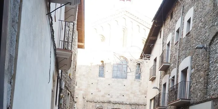 El carrer dels Canonges llueix tres tions gegants
