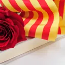 Especial Sant Jordi 2017