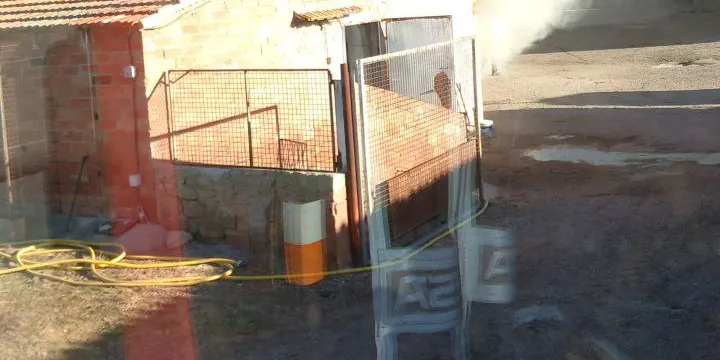 A Pinós, un incendi en una granja deixa més d'un centenar de porcs morts
