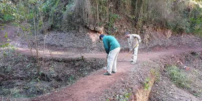 El Consell d’Infants i Adolescents dóna la benvinguda a 27 nous consellers