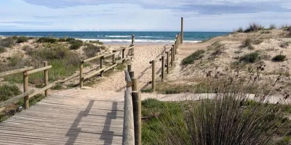 La UAB tria els Muntanyans per estudiar l’efecte dels gats en la fauna autòctona de l’ecosistema