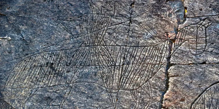 Cataloguen prop de 4.000 gravats medievals a un indret rocós de la Vall d'Àssua
