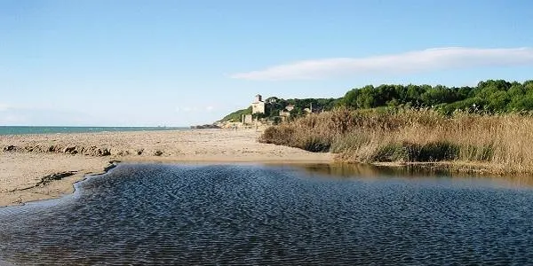 Nova visita guiada a la desembocadura del riu Gaià i a l’espai natural de Tamarit