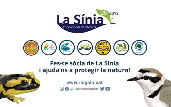 Foto: Associació Mediambiental La Sínia