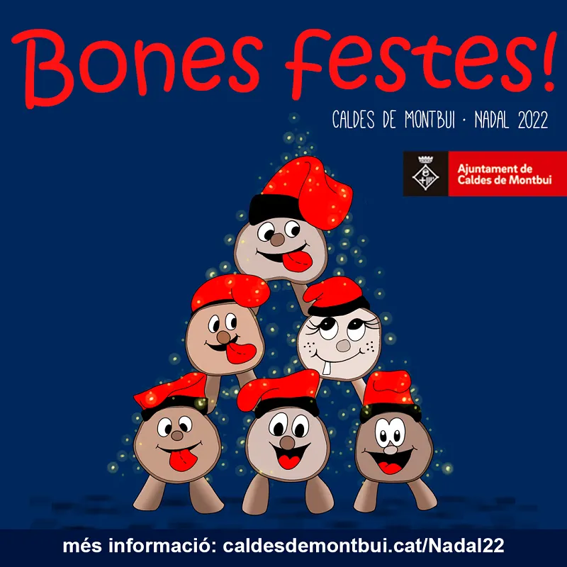 Una cinquantena d’actes omplen el Programa de Nadal i Reis