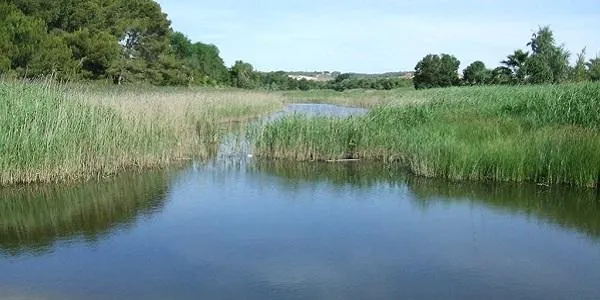 L’Hort de la Sínia d’Altafulla ofereix una nova visita guiada a la desembocadura del riu Gaià