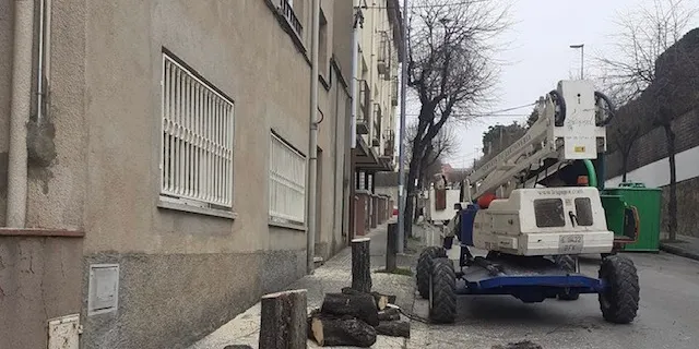 Comença la tala i substitució de l’arbrat del carrer Pau Picasso
