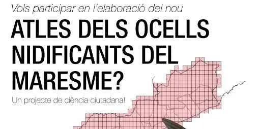 S'inicia el projecte per fer el nou Atles dels Ocells Nidificants del Maresme
