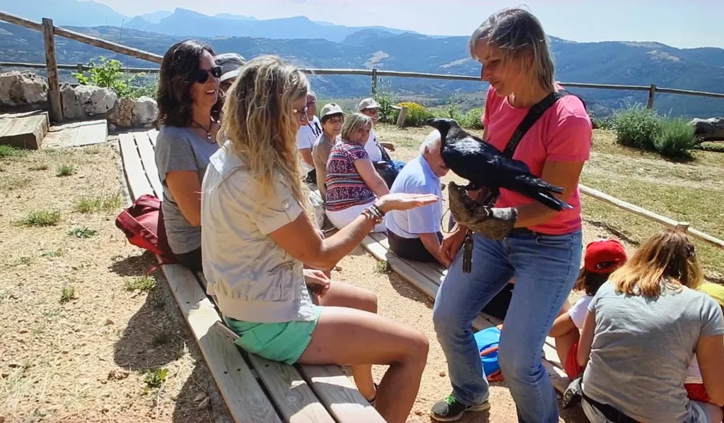El Centre Excursionista del Solsonès adapta la Caminada Popular de Solsona davant la conjuntura de la Covid-19
