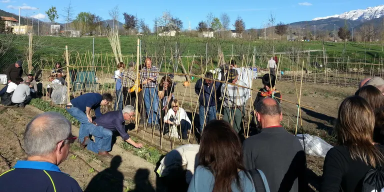 Bona rebuda del curs d'horticultura ecològica a la Seu