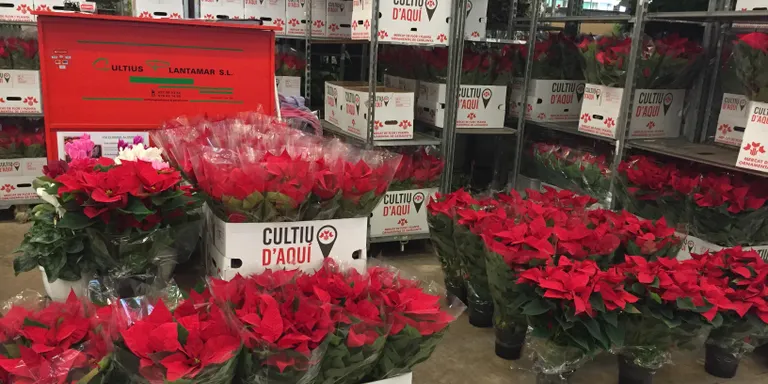 El Mercat de la Flor tanca la delegació que havia obert a França