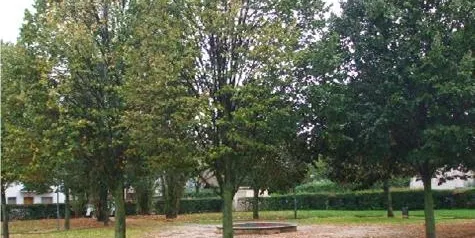 La reforma de la plaça del Carme es farà després de l'estiu
