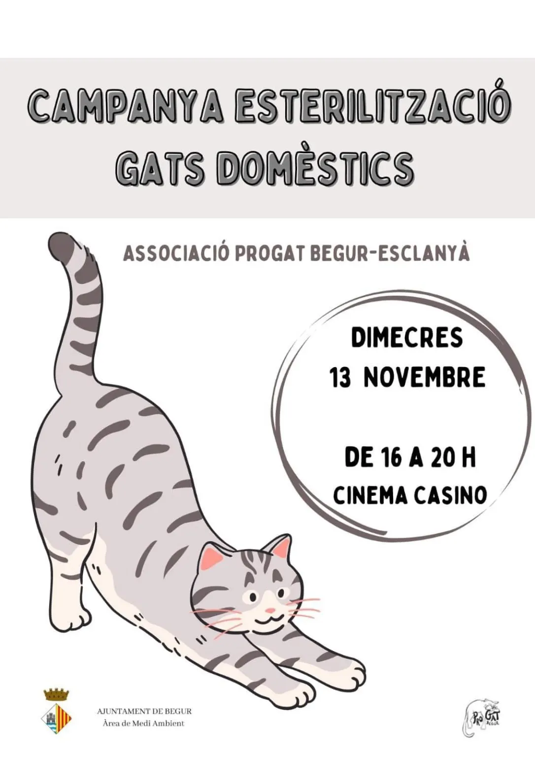 Inscriu el teu gat domèstic a la campanya anual d’esterilització