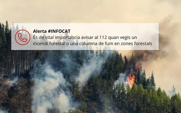 Foto: Generalitat de Catalunya