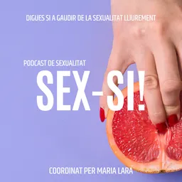 SEX-SI! LLAVIS SILENCIATS - episode art