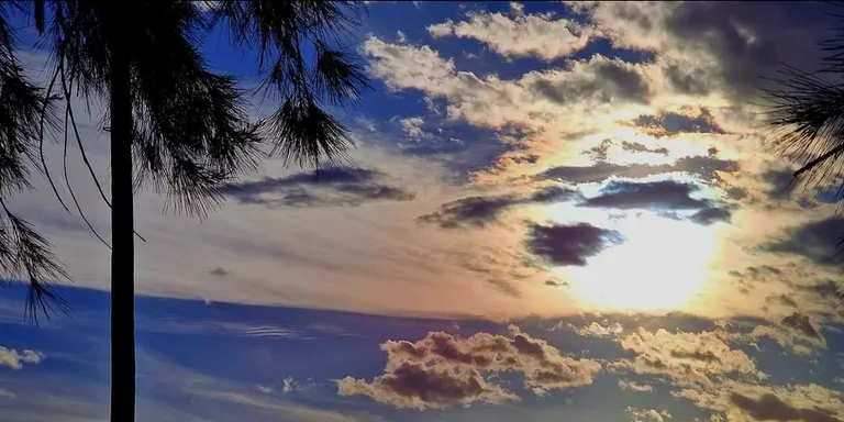 Sense massa canvis a la vista
