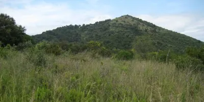 Coneix els tresors del Montpalau, a la ruta guiada per la Riera de Pineda