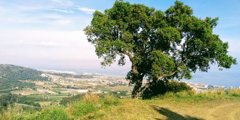 Dijous plàcid amb sol i calor