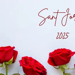 Programa especial Sant Jordi 2025 del 23/4/2025 - episode art