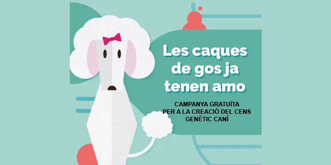 La campanya de recollida de dades genètiques ha censat més d’un miler de gossos