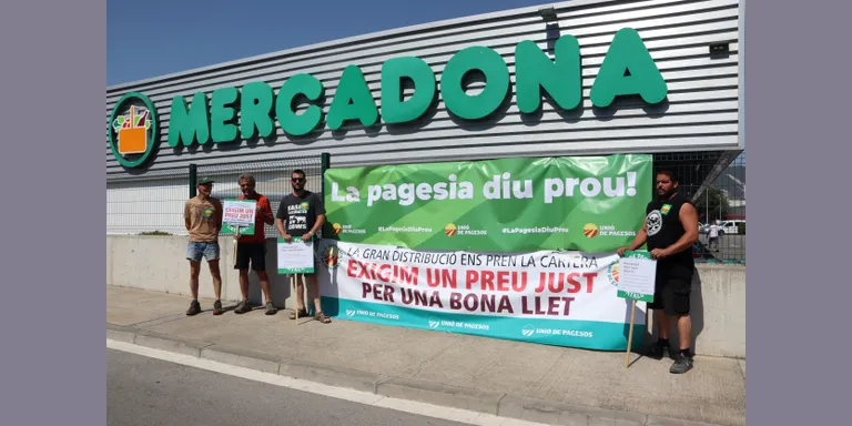 Unió de Pagesos denuncia que a Catalunya s'han hagut de sacrificar 2.000 vaques per la crisi de preus