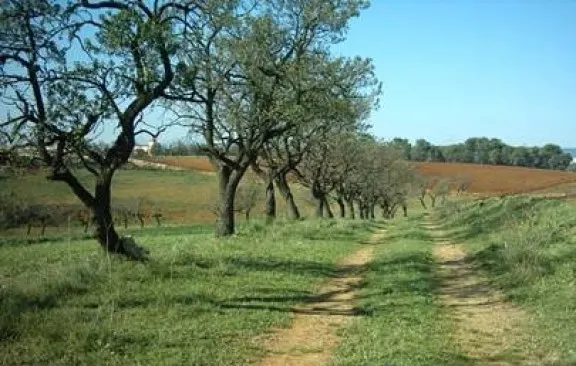 Diverses entitats impulsen l'aprovació d'un pla per protegir i dinamitzar l'activitat agrària als dos vallesos