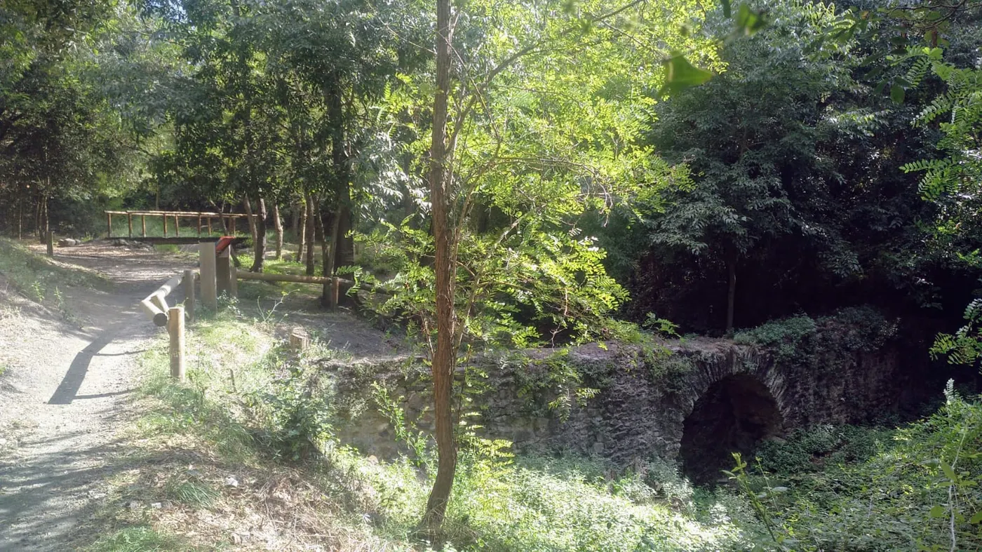 Setmana tranquil·la amb pocs canvis