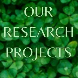 Our research projects