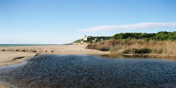 Nova visita guiada a l’entorn natural de Tamarit