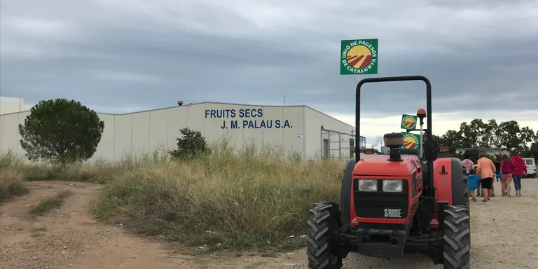 Una trentena de tractors omplen El Morell per protestar contra el preu de l'avellana